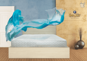 تشک رویا بونل