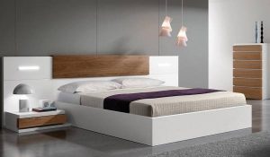 تشک رویا بونل